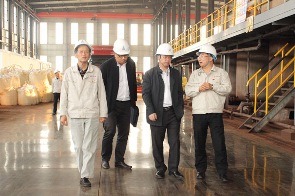 2621540258546773.jpg 03.jpg